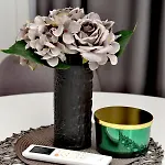 Stan Na Dan Centar
