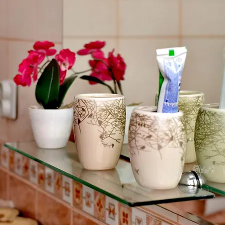 アパート Stan Na Dan Centar ビイェリナ