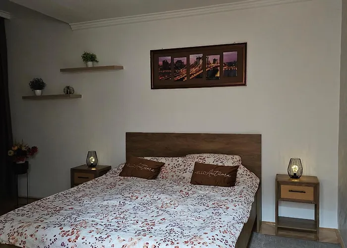 Stan Na Dan Centar شقة